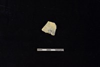 陶片藏品圖，第2張